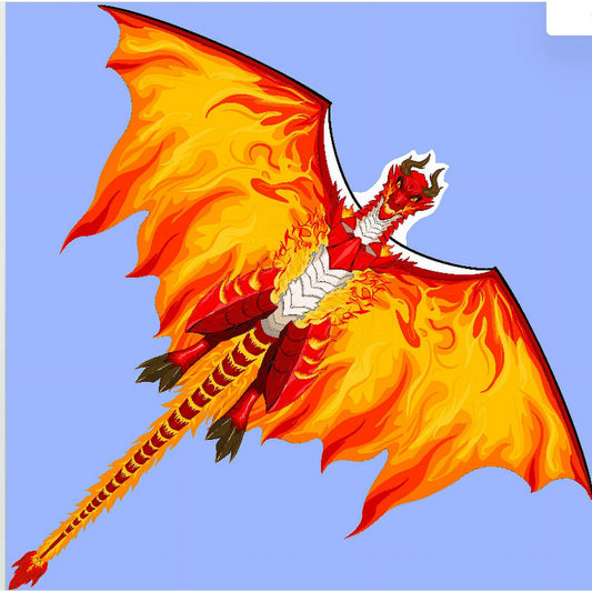 Dragon Kite for Kids & Adults, Easy to Fly Best Beach Kite for Red Fiery