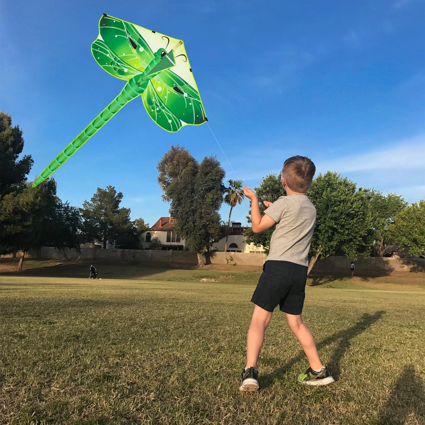 Crogift Kite Easy-Fly for Beginners Dragonfly Kites for Kids & Adults Polyester 60"x 30" Green